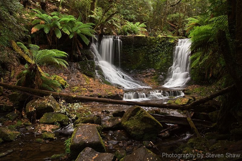 Horseshoe Falls 1 Horseshoe Falls, Mt Field NP, Tasmania